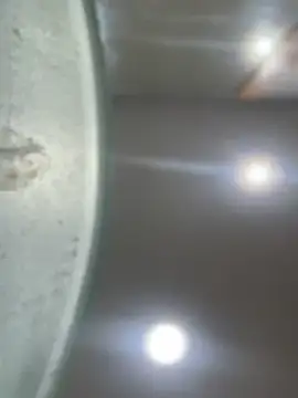 Mila Morgan online show from 01/23/25, 01:51