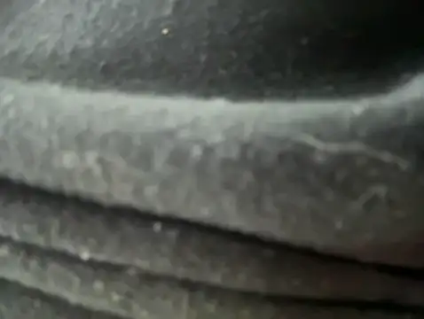 Mila Morgan online show from 01/30/25, 12:18