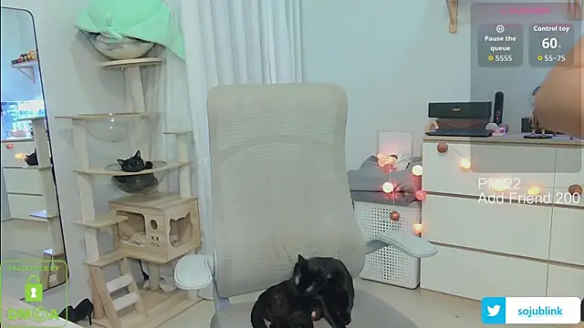 littlemiilk online show from 01/13/26, 08:08