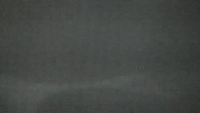 Snapshot of canela_wet chatting on 02/14/25, 12:25 canela wet online show from 02/14/25, 12:25