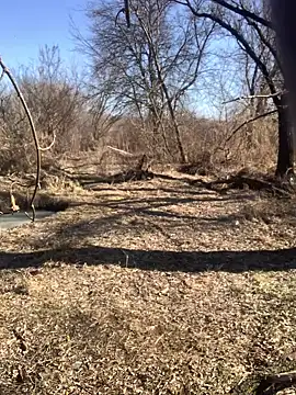 Snapshot of Boysex227 chatting on 03/08/25, 08:11 Boysex227 online show from 03/08/25, 08:11