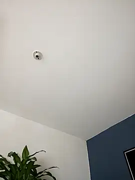 SilvaBranko online show from 11/02/25, 11:07