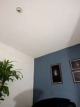 SilvaBranko online show from 11/09/25, 01:04