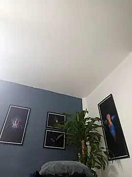 SilvaBranko online show from 12/19/25, 02:07