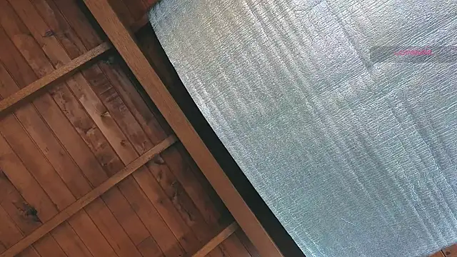 SilvaBranko online show from 03/25/26, 10:05