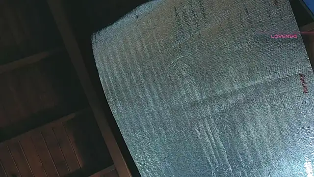 SilvaBranko online show from 04/13/26, 01:11