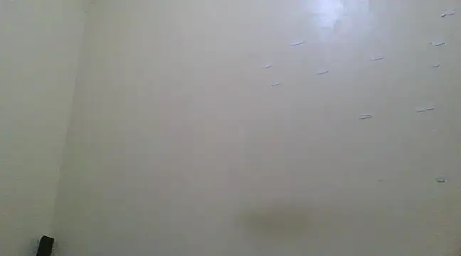 the geisha 2021k online show from 03/13/25, 06:45