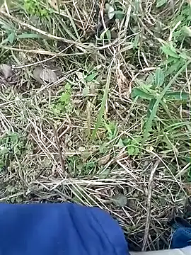 Nkumar173 online show from 11/08/25, 11:54