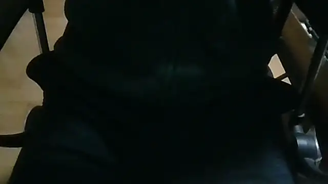 Snapshot of shibayam chatting on 04/08/26, 04:29 shibayam online show from 04/08/26, 04:29