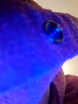 Snapshot of Armyexhibitionistvet chatting on 09/09/25, 08:58 Armyexhibitionistvet online show from 09/09/25, 08:58