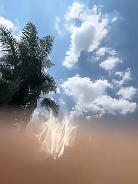 THEBUTTERNUT online show from 02/06/26, 11:02