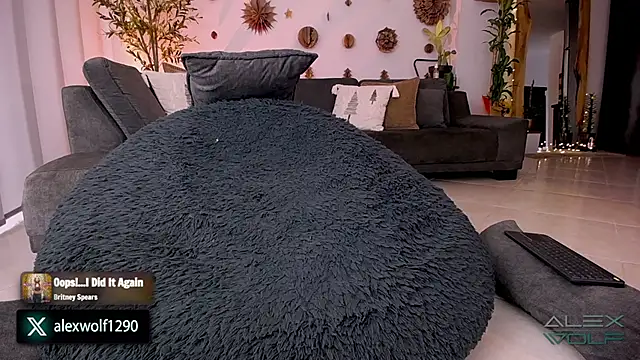 Snapshot of alex_wolf_ chatting on 12/11/24, 12:34 alex wolf  online show from 12/11/24, 12:34