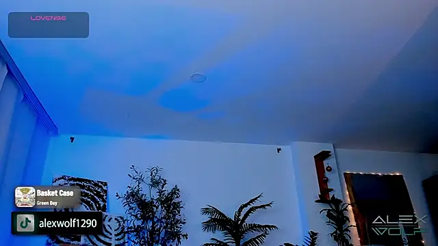 Snapshot of alex_wolf_ chatting on 01/17/25, 05:21 alex wolf  online show from 01/17/25, 05:21