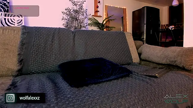 Snapshot of alex_wolf_ chatting on 02/08/25, 02:04 alex wolf  online show from 02/08/25, 02:04