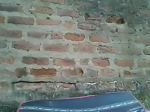 Javan  online show from 01/13/25, 12:35