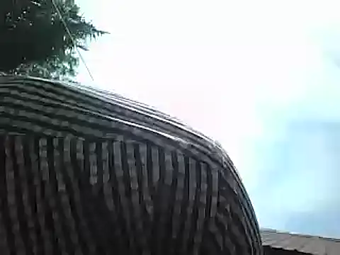 Javan  online show from 01/15/25, 08:41