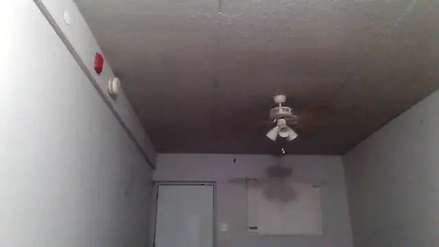 Snapshot of bigdick5157 chatting on 10/07/25, 10:56 bigdick5157 online show from 10/07/25, 10:56