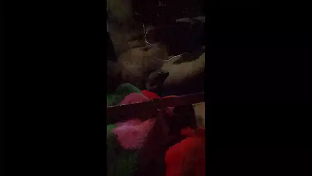 Snapshot of 008Alexan chatting on 04/22/26, 03:31 008Alexan online show from 04/22/26, 03:31