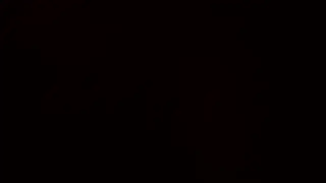 Ashinaga oj online show from 12/14/24, 10:24