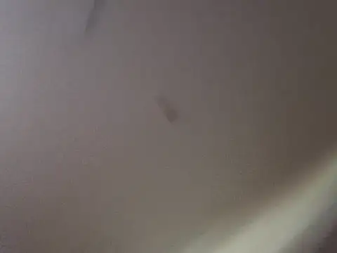 Snapshot of Gin4Cole chatting on 09/25/25, 11:52 Gin4Cole online show from 09/25/25, 11:52