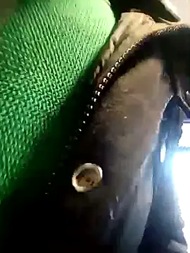 Snapshot of BZHsex chatting on 03/09/25, 05:28 BZHsex online show from 03/09/25, 05:28