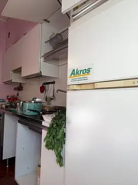 Sunbelxx online show from 11/04/25, 08:46