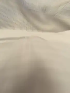 couple 1999 online show from 03/17/25, 06:51