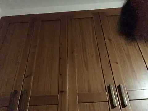 Dicksexhandjob online show from 12/17/24, 12:23