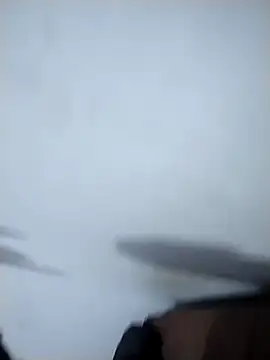 Snapshot of Flaquito_pitudo chatting on 12/02/24, 01:03 Flaquito pitudo online show from 12/02/24, 01:03