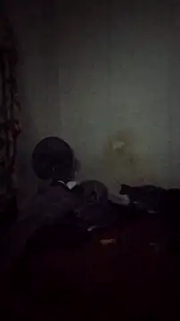 Snapshot of Flaquito_pitudo chatting on 12/09/24, 08:22 Flaquito pitudo online show from 12/09/24, 08:22