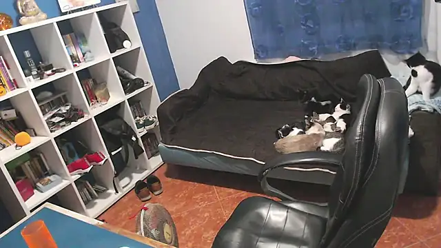 ravingr4d4 online show from 11/01/25, 10:01