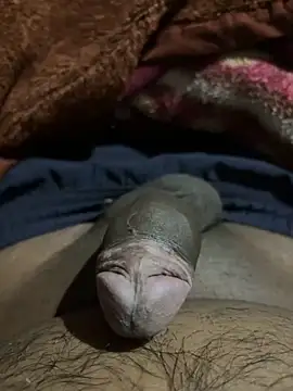 Snapshot of delhiboyz1 chatting on 02/16/25, 07:49 delhiboyz1 online show from 02/16/25, 07:49