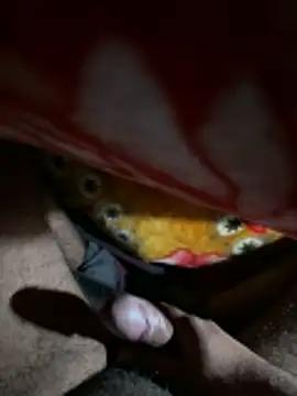 delhiboyz1 online show from 01/07/26, 01:30