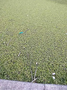 Eduardoxxx51 online show from 12/03/25, 10:19