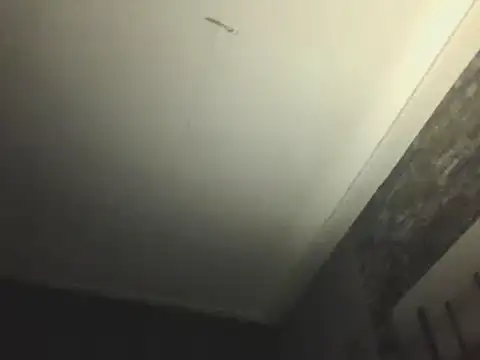 Snapshot of Prehistorixxx2686 chatting on 01/12/25, 06:28 Prehistorixxx2686 online show from 01/12/25, 06:28