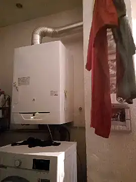 pachapeter online show from 02/10/25, 09:47