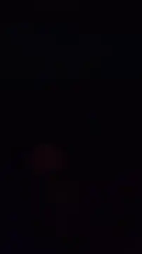 pachapeter online show from 10/04/25, 08:29