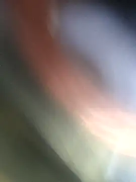 Snapshot of jasss-11 chatting on 11/04/25, 05:23 jasss-11 online show from 11/04/25, 05:23