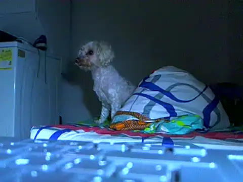 Snapshot of Ian_zaenzz chatting on 11/27/25, 05:09 Ian zaenzz online show from 11/27/25, 05:09