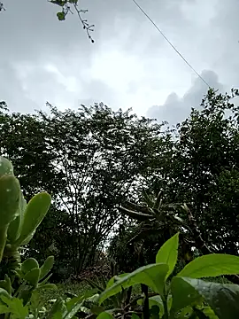 ViolettaSummer online show from 01/12/26, 01:05