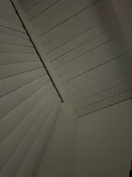 Papinine6 online show from 11/12/25, 10:48