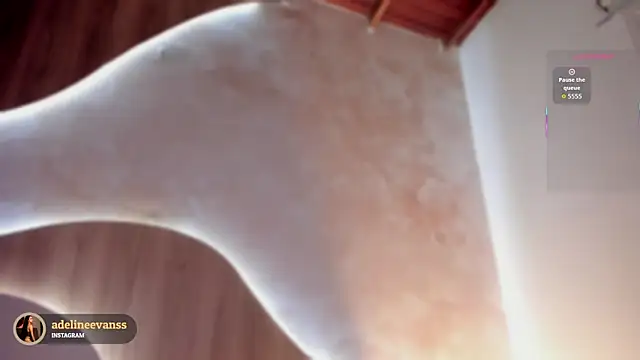 Snapshot of AdelineEvanss chatting on 12/01/25, 07:41 AdelineEvanss online show from 12/01/25, 07:41