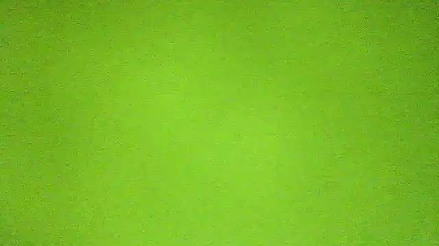 AbbyX online show from 11/29/25, 10:29