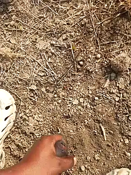 Ajith mvi online show from 02/18/26, 03:35