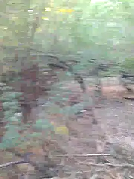 Ajith mvi online show from 03/29/26, 02:44