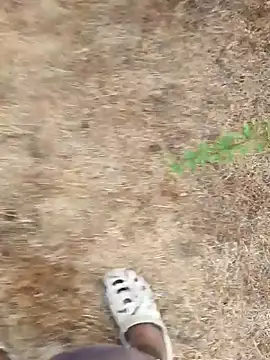 Ajith mvi online show from 04/16/26, 01:28