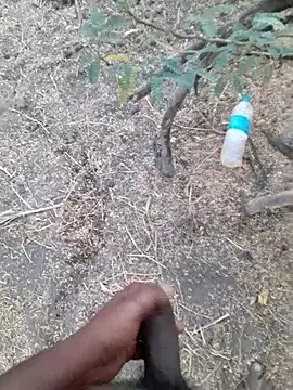 Ajith mvi online show from 04/17/26, 01:19