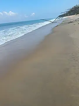 Snapshot of sexntease chatting on 03/05/25, 03:08 sexntease online show from 03/05/25, 03:08