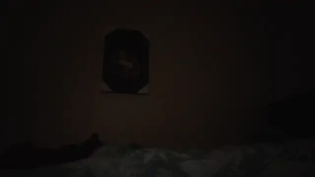 hailzeffn online show from 11/13/25, 02:10