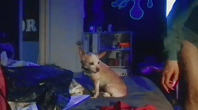 watermellonpussy online show from 12/28/24, 05:55